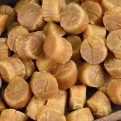 精选野生元贝干贝瑶柱50头 250g - 图片 3
